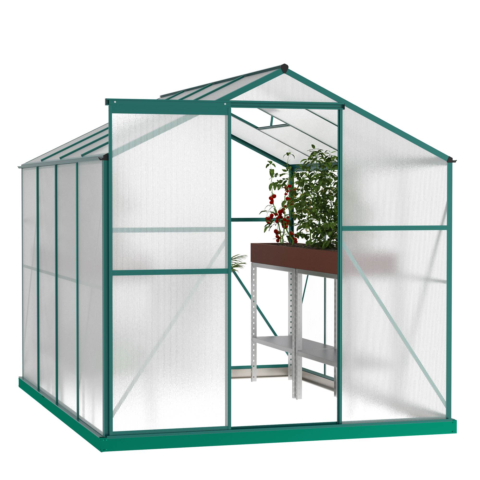 Walk-in polycarbonate greenhouse with hinged door in a garden